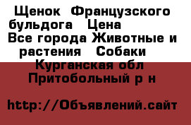 Щенок  Французского бульдога › Цена ­ 35 000 - Все города Животные и растения » Собаки   . Курганская обл.,Притобольный р-н